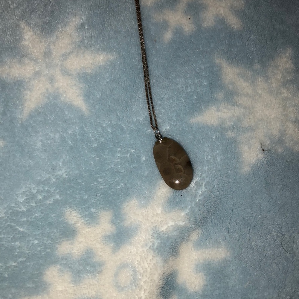 Petroskey stone necklace